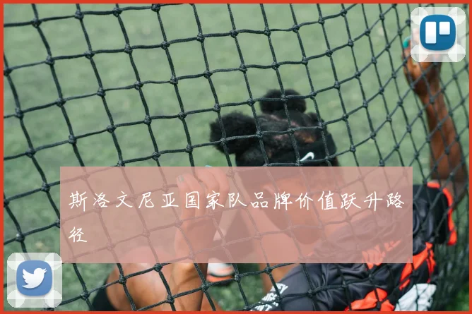 斯洛文尼亚国家队品牌价值跃升路径