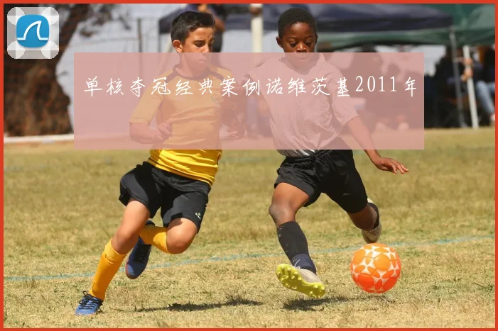 单核夺冠经典案例诺维茨基2011年