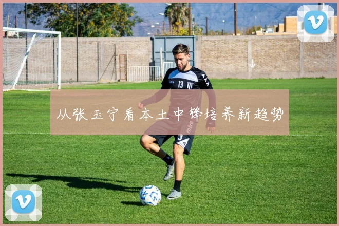从张玉宁看本土中锋培养新趋势