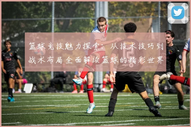 篮球竞技魅力探索：从技术技巧到战术布局全面解读篮球的精彩世界