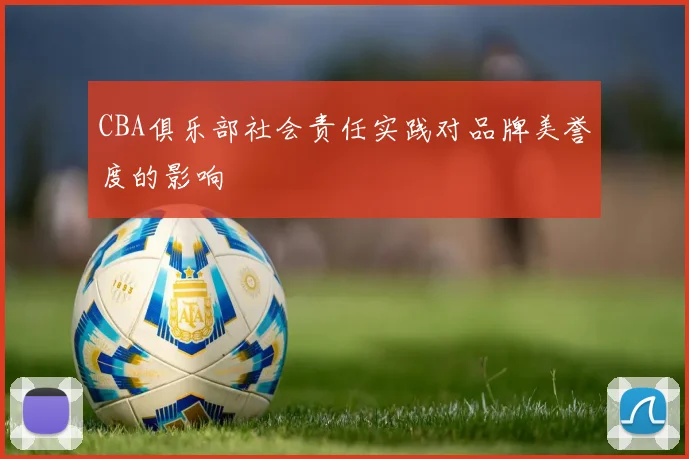 CBA俱乐部社会责任实践对品牌美誉度的影响