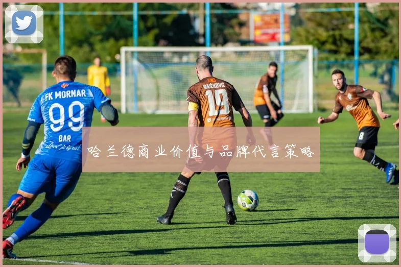 哈兰德商业价值与品牌代言策略