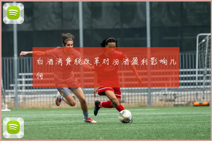 白酒消费税改革对汾酒盈利影响几何