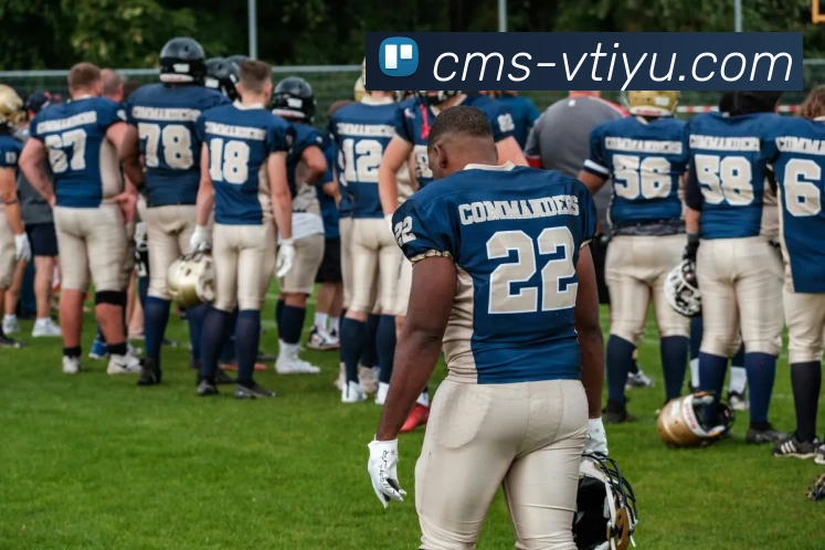 多媒体互动体验